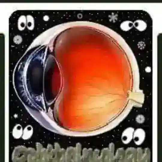 Ophthalmology Books