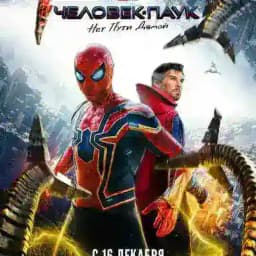 Oʻrgimchak odam uyga yoʻl yoʻq Profile