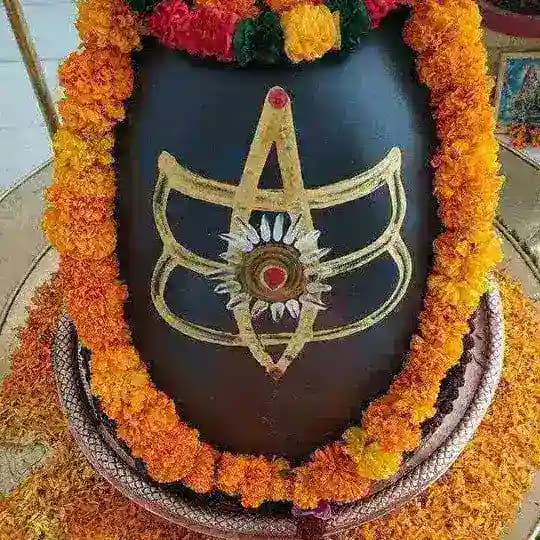 Aalok Mishra ♥