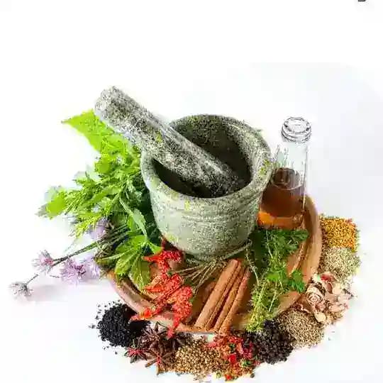 ഔഷധി