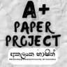 | A+ PAPER PROJECT |🟠
