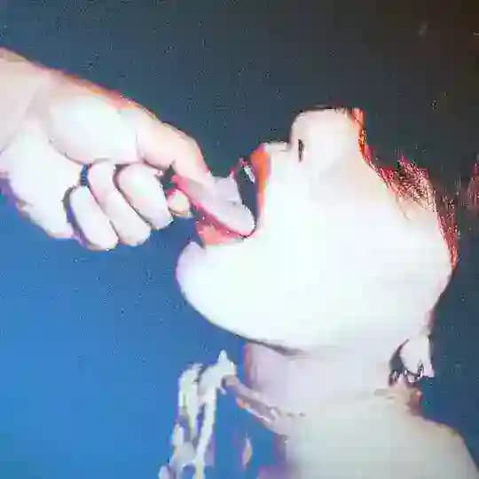 ASMR福利 关注防失联