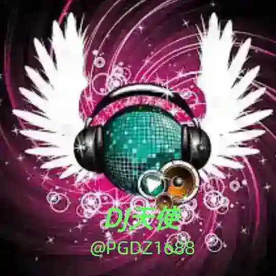 DJ 天使【东南亚包厢 DJ音乐 上头曲】