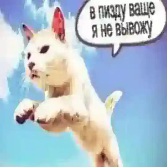 ПИКЧИ КОНФА