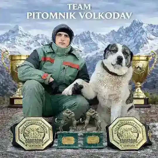 PITOMNIK VOLKODAV