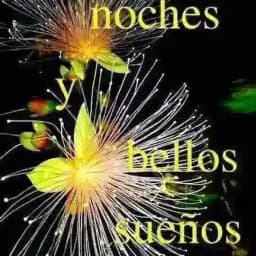 PLACER ARGENTINA Profile