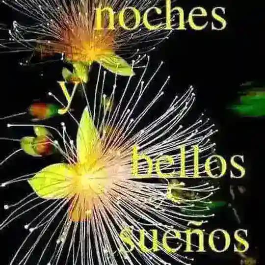 PLACER ARGENTINA Profile