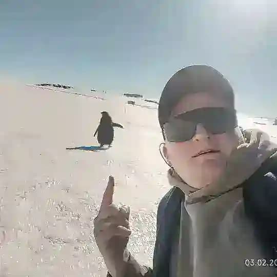 ЛЮБОВЬ ПИНГВИНА