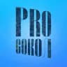 PROСокол