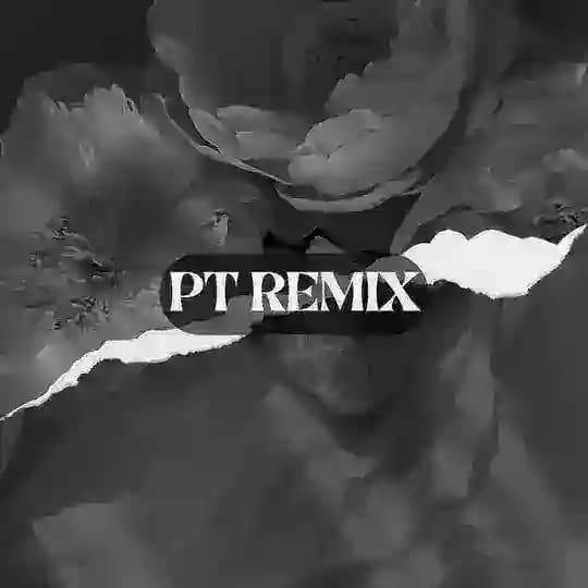 PT Remix Profile