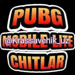 PUBG LITE CHITLAR Profile