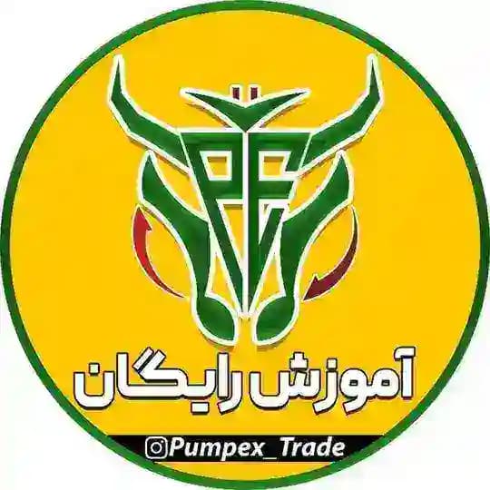 آموزش رایگان پامپکس