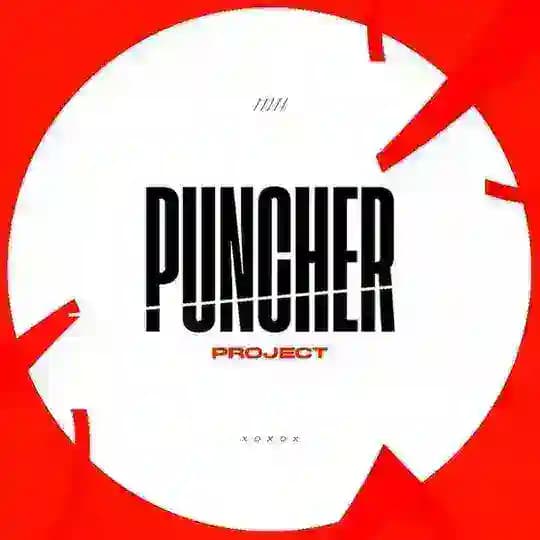 PUNCHER PROJECT