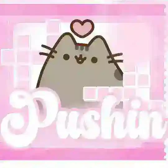 PUSHINS