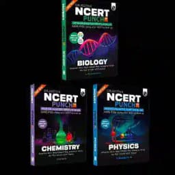 NEW NCERT PUNCH 4.0 PW Profile