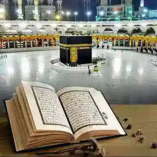 🌺 للثقه أبو راكان ضمانات وتعاملات 🌺