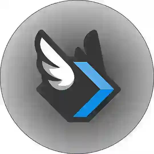 PacketRaft