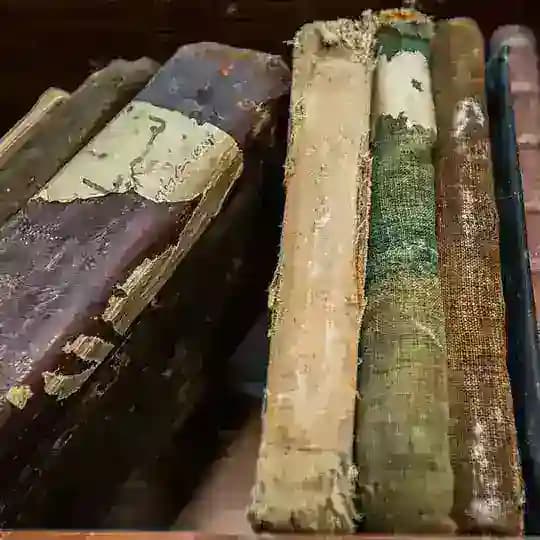 مكتبة المخطوطات الباكستانية والهندية