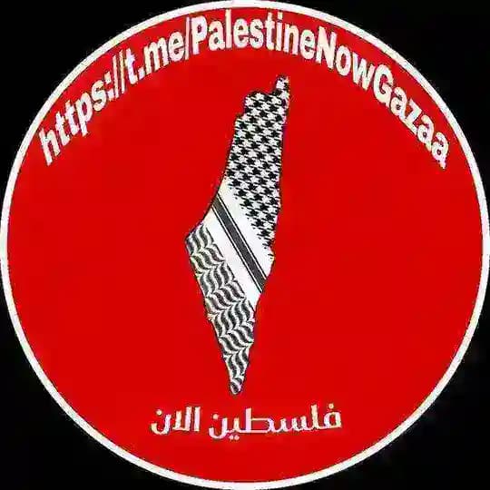 فلسطين الان🔻 Profile