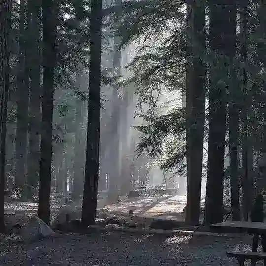 Paraiso