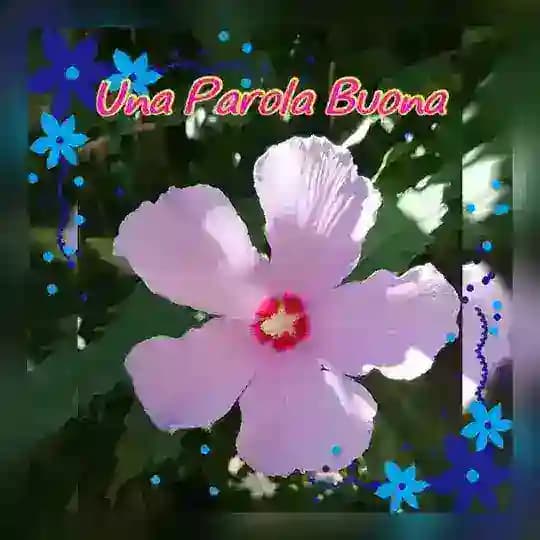 Una Parola Buona