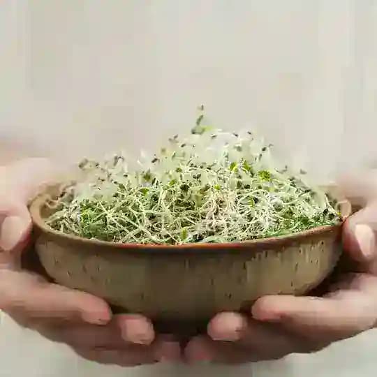 Patrizia Coffaro Profile