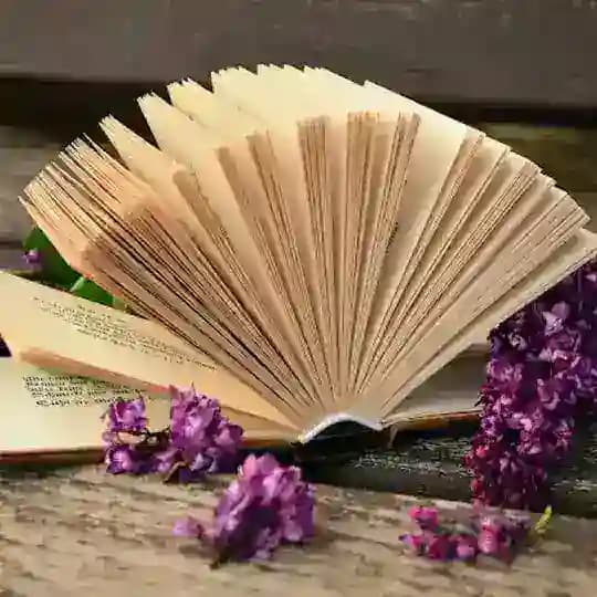 বইপোকা না PDF পোকা 📚