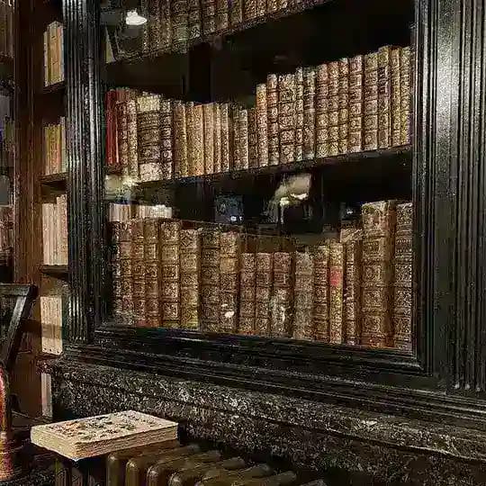 PDF AYT - TYT DENEME VE SORU BANKALARI Profile