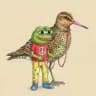 Peace Frog Portal