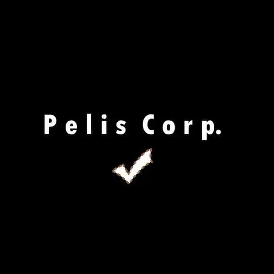 Pelis Corp Profile