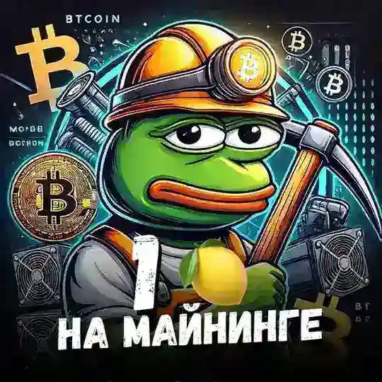 Pepe майнит 🍋 Майнинг, оборудование, аналитика