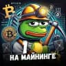 Pepe майнит 🍋 Майнинг, оборудование, аналитика