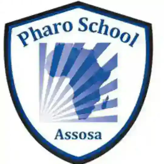 Pharo School Assosa, Grade 9 Textbooks