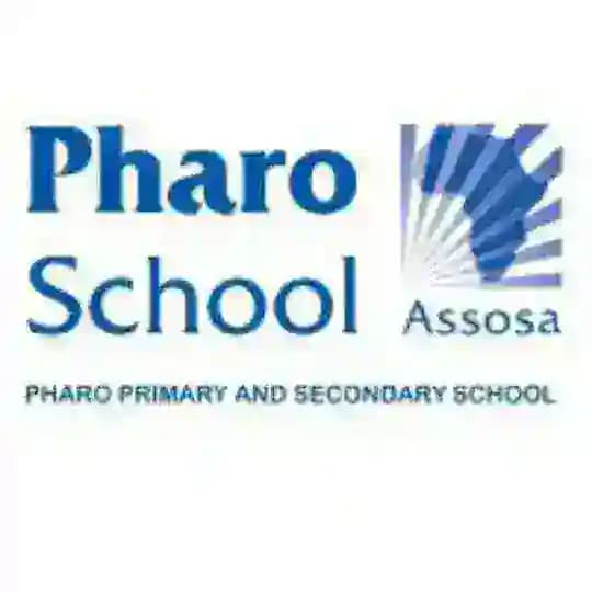 Pharo School - Assosa