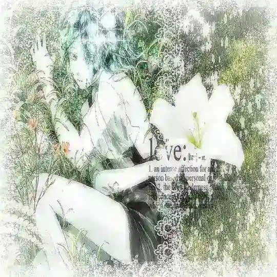 𖦹⋆.˚˚࿔ 𝑷𝒉𝒐𝒔'𝒔 𝑴𝒐𝒐𝒏 𝑺𝒉𝒐𝒑~°𝜗𝜚˚⋆