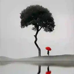 پاییـزے Profile