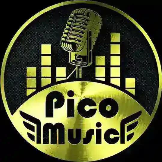 پیکوموزیک | PicoMusic