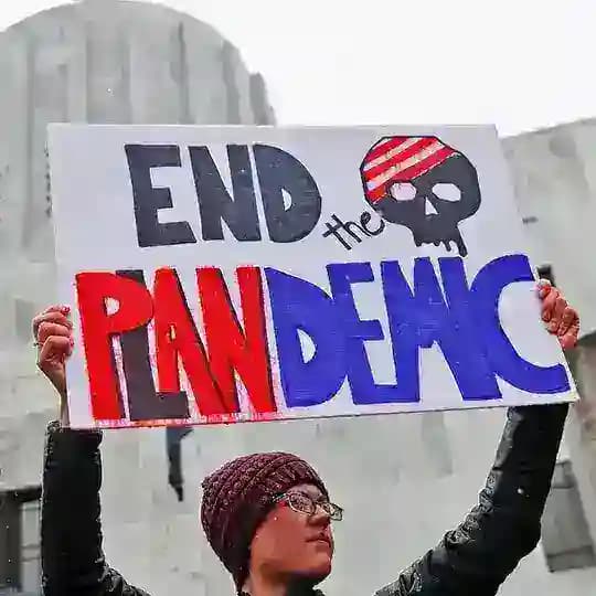 Plandemic Agenda