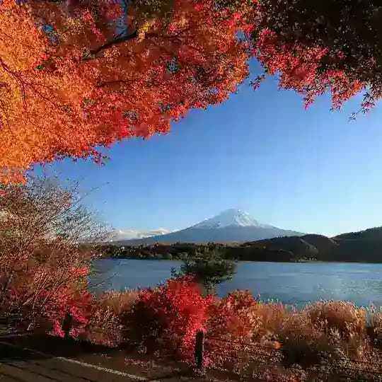 Планета Земля🍁