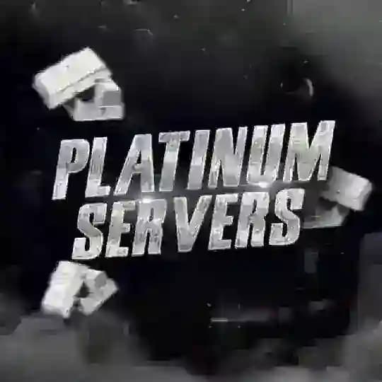 PLATINUM SERVERS