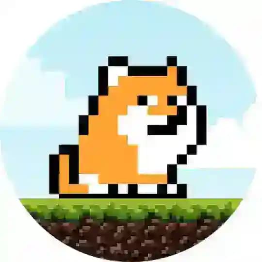 PlayDoge