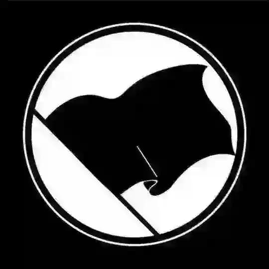 Pokémon Academy Profile