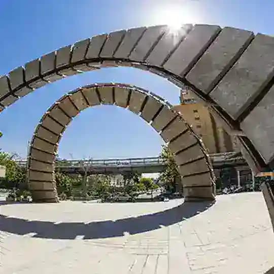 پلیتکنیکیها