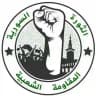 المقاومة الشعبية - الثورة السورية