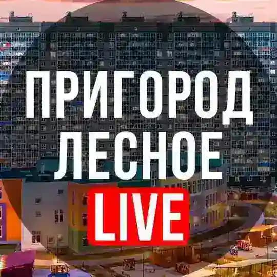 Пригород Лесное LIVE