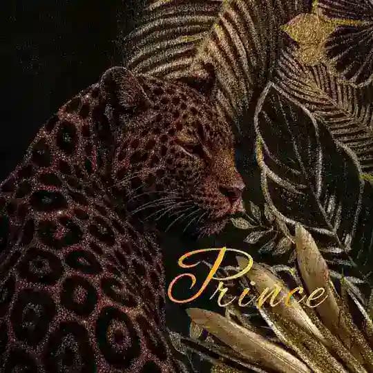 Concours du Prince.