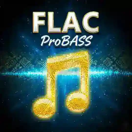 ProBASS 🔊 🇺 🇦