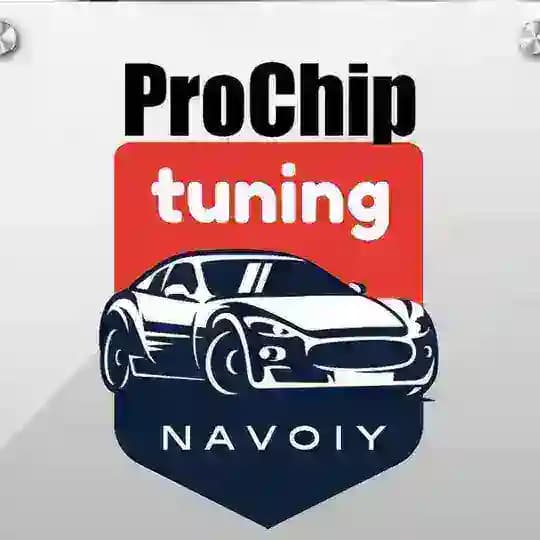 ProChip_tuning_navoiy