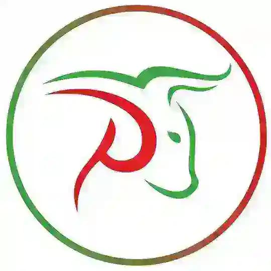 ProTrader365