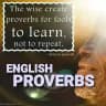ENGLISH PROVERBS, IDIOMS & PHRASES Daily 🐵🙊🙈🙉🐵